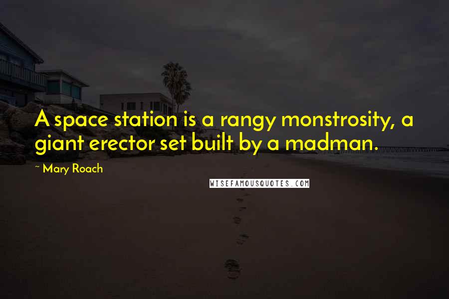 Mary Roach quotes: A space station is a rangy monstrosity, a giant erector set built by a madman.