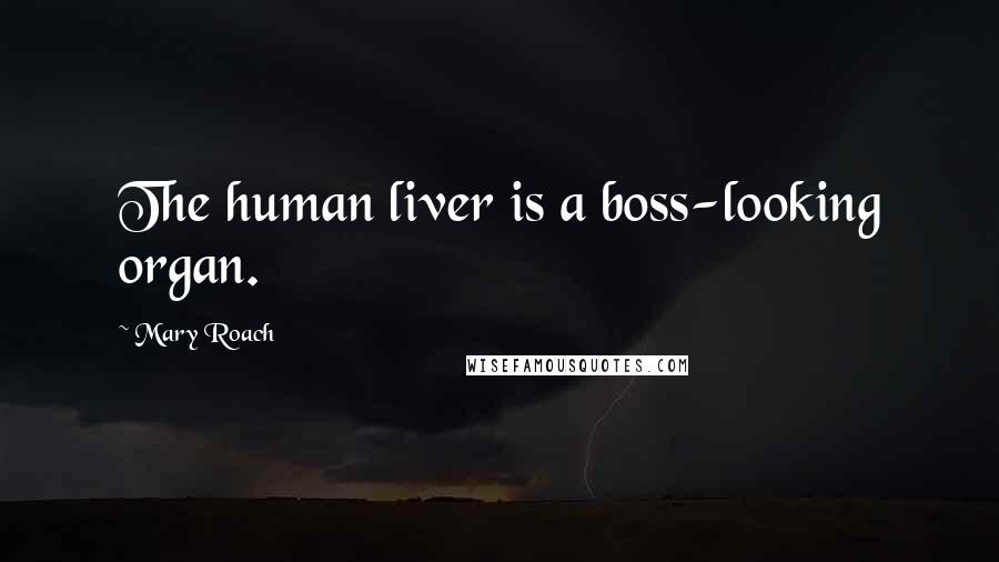 Mary Roach quotes: The human liver is a boss-looking organ.
