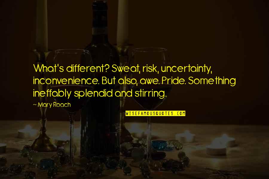 Mary Roach Quotes By Mary Roach: What's different? Sweat, risk, uncertainty, inconvenience. But also,