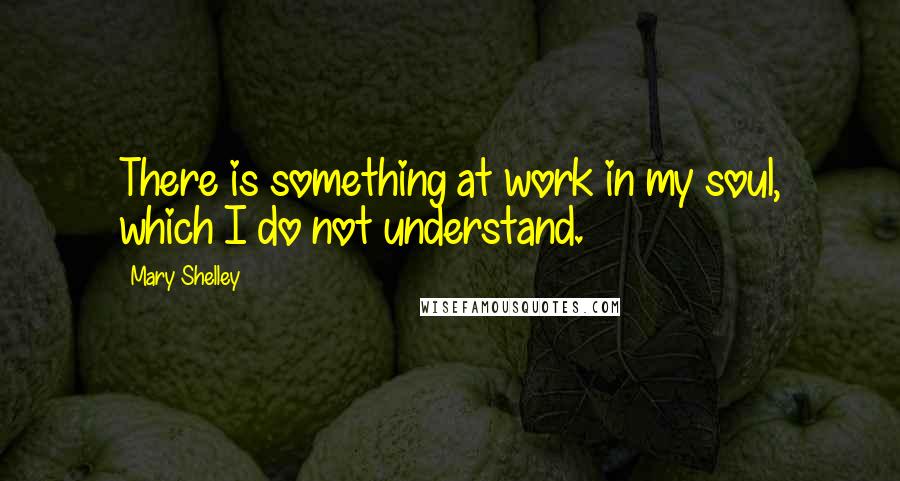 Mary Shelley quotes: There is something at work in my soul, which I do not understand.