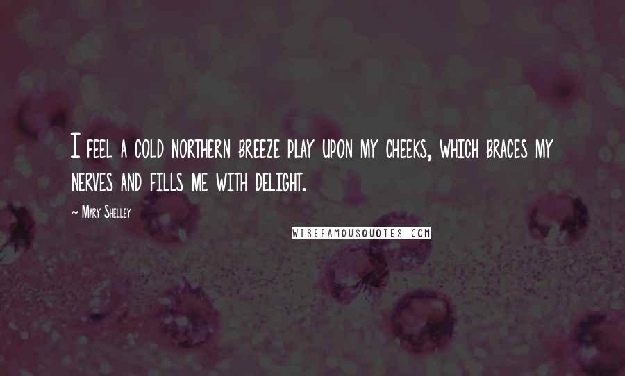 Mary Shelley quotes: I feel a cold northern breeze play upon my cheeks, which braces my nerves and fills me with delight. Mary Shelley quotes: I feel a cold northern breeze play upon my cheeks, which braces my nerves and fills me with delight.