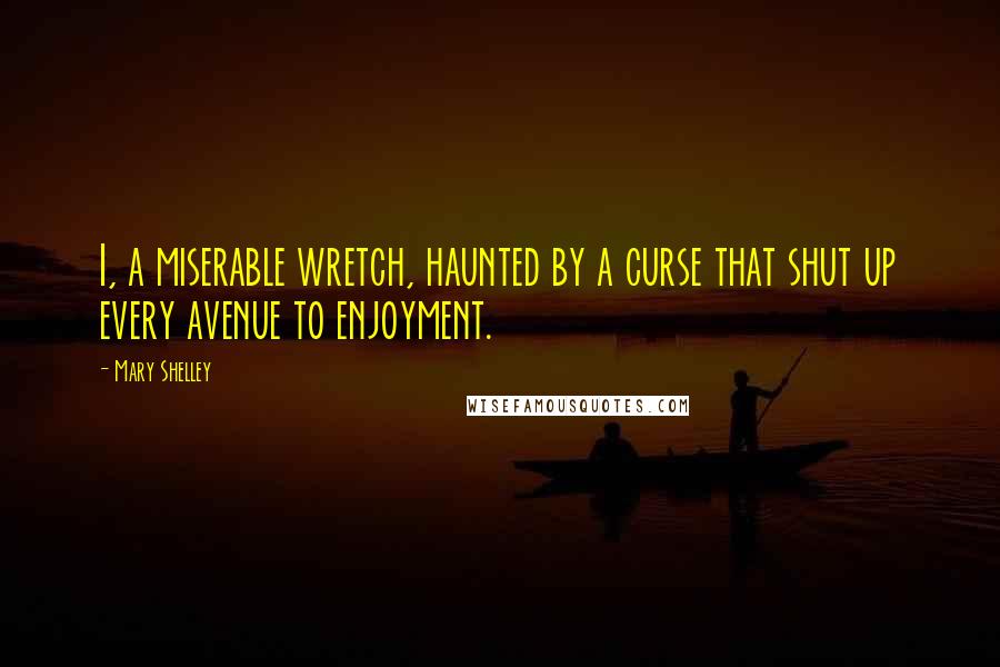 Mary Shelley quotes: I, a miserable wretch, haunted by a curse that shut up every avenue to enjoyment.