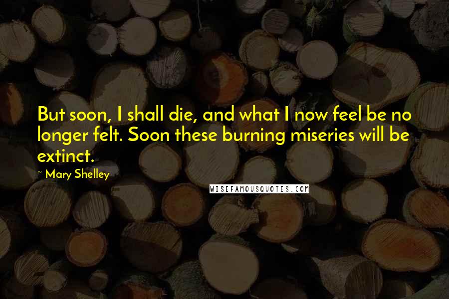 Mary Shelley quotes: But soon, I shall die, and what I now feel be no longer felt. Soon these burning miseries will be extinct. Mary Shelley quotes: But soon, I shall die, and what I now feel be no longer felt. Soon these burning miseries will be extinct.
