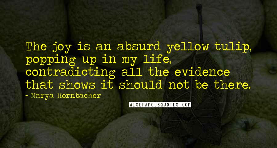 Marya Hornbacher quotes: The joy is an absurd yellow tulip, popping up in my life, contradicting all the evidence that shows it should not be there.
