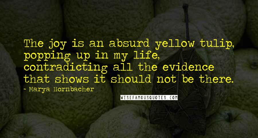 Marya Hornbacher quotes: The joy is an absurd yellow tulip, popping up in my life, contradicting all the evidence that shows it should not be there. Marya Hornbacher quotes: The joy is an absurd yellow tulip, popping up in my life, contradicting all the evidence that shows it should not be there.