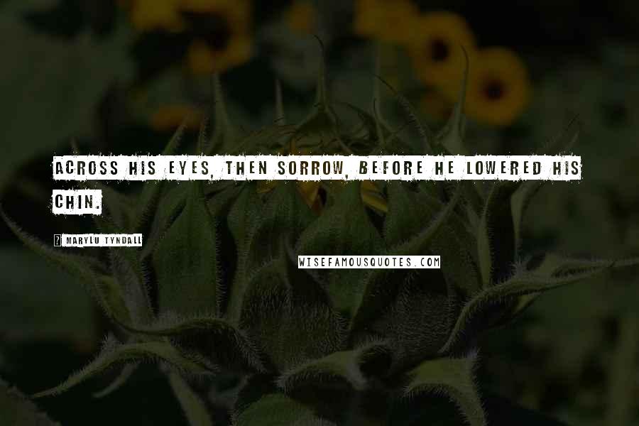 MaryLu Tyndall quotes: across his eyes, then sorrow, before he lowered his chin.