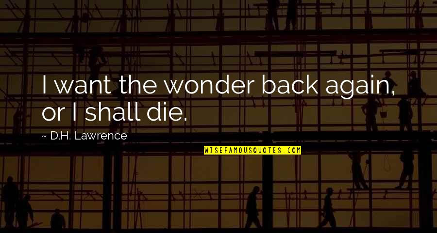 Marzahn Mon Quotes By D.H. Lawrence: I want the wonder back again, or I Marzahn Mon Quotes By D.H. Lawrence: I want the wonder back again, or I