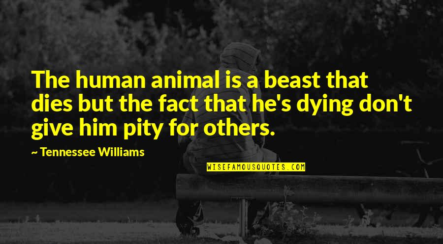 Marzban Dds Quotes By Tennessee Williams: The human animal is a beast that dies