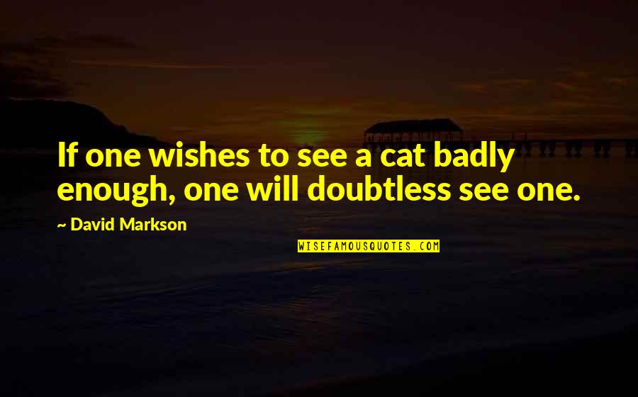 Marzolla Sticks Quotes By David Markson: If one wishes to see a cat badly