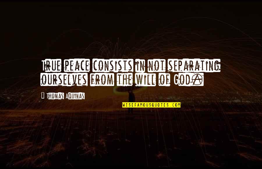 Masakuni Water Quotes By Thomas Aquinas: True peace consists in not separating ourselves from