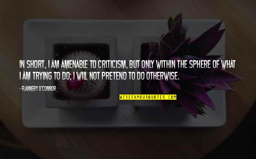 Masamori Fitting Quotes By Flannery O'Connor: In short, I am amenable to criticism, but