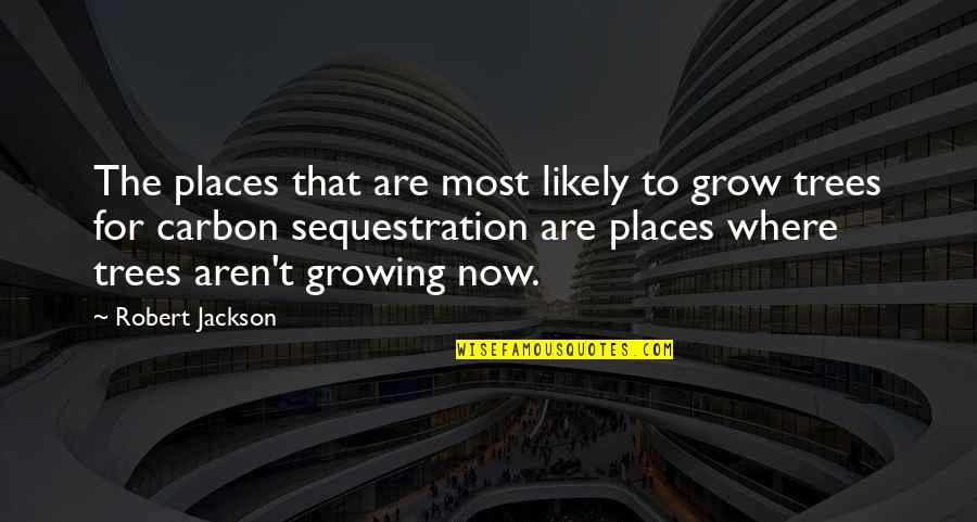 Mascleta Quotes By Robert Jackson: The places that are most likely to grow Mascleta Quotes By Robert Jackson: The places that are most likely to grow