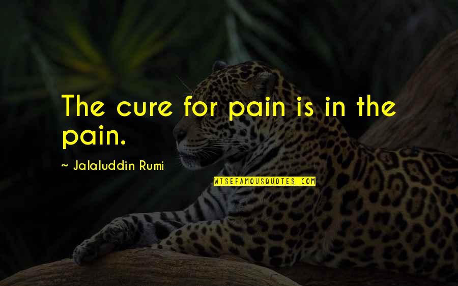 Masculinity And Femininity Quotes By Jalaluddin Rumi: The cure for pain is in the pain.