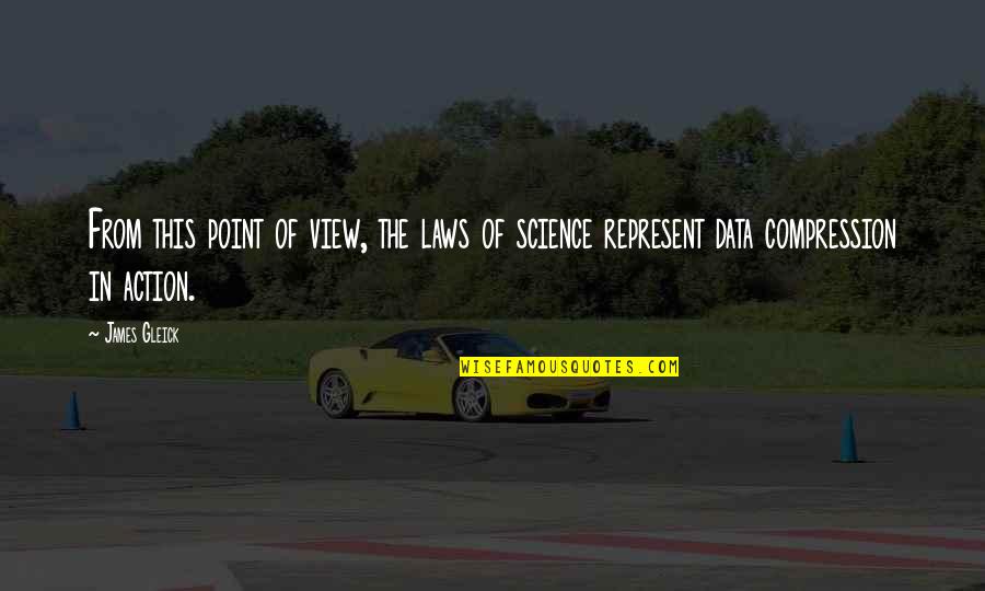 Masenko Sharingan Quotes By James Gleick: From this point of view, the laws of