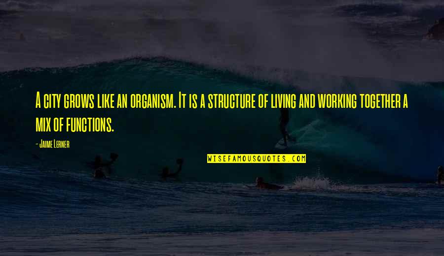 Masimba Irvine Quotes By Jaime Lerner: A city grows like an organism. It is Masimba Irvine Quotes By Jaime Lerner: A city grows like an organism. It is