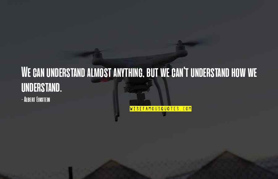 Maskerena Quotes By Albert Einstein: We can understand almost anything, but we can't