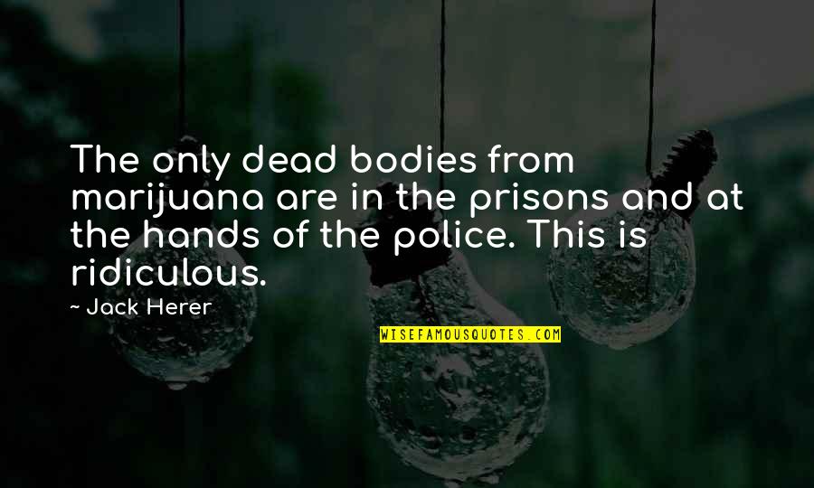 Masoara De 7 Quotes By Jack Herer: The only dead bodies from marijuana are in Masoara De 7 Quotes By Jack Herer: The only dead bodies from marijuana are in