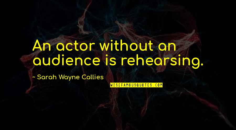 Massagrande Paintings Quotes By Sarah Wayne Callies: An actor without an audience is rehearsing. Massagrande Paintings Quotes By Sarah Wayne Callies: An actor without an audience is rehearsing.