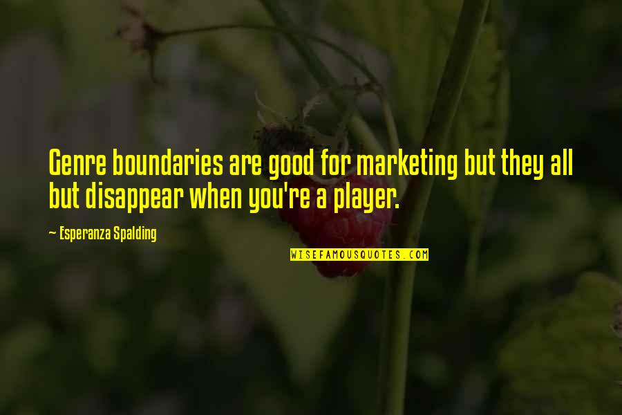 Massanelli Gregg Quotes By Esperanza Spalding: Genre boundaries are good for marketing but they Massanelli Gregg Quotes By Esperanza Spalding: Genre boundaries are good for marketing but they