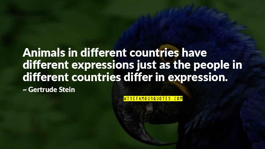 Massaro Del Quotes By Gertrude Stein: Animals in different countries have different expressions just Massaro Del Quotes By Gertrude Stein: Animals in different countries have different expressions just