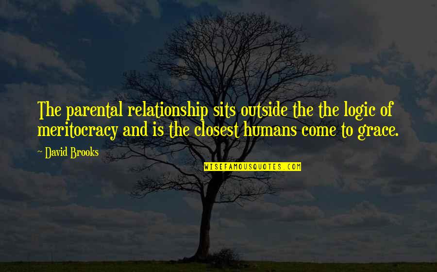 Masselink Hall Quotes By David Brooks: The parental relationship sits outside the the logic