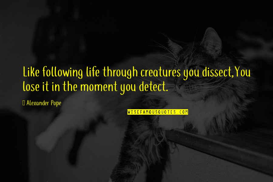 Masserann Kit Quotes By Alexander Pope: Like following life through creatures you dissect,You lose Masserann Kit Quotes By Alexander Pope: Like following life through creatures you dissect,You lose