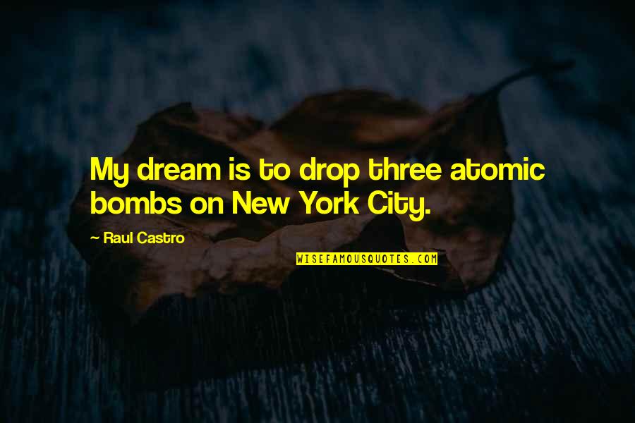 Masseria Restaurant Quotes By Raul Castro: My dream is to drop three atomic bombs