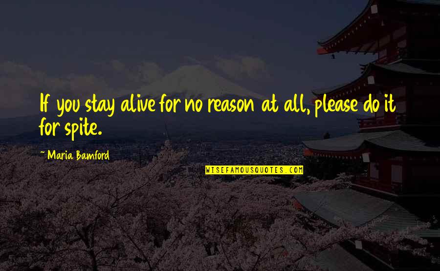 Massified Quotes By Maria Bamford: If you stay alive for no reason at