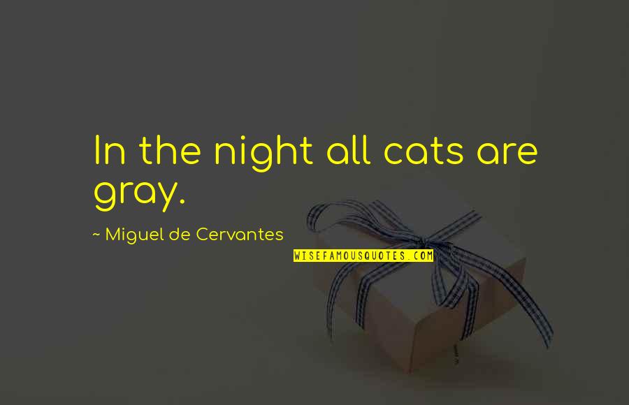 Massime Eterne Quotes By Miguel De Cervantes: In the night all cats are gray.