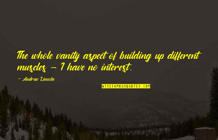 Massimo Volpe Quotes By Andrew Lincoln: The whole vanity aspect of building up different
