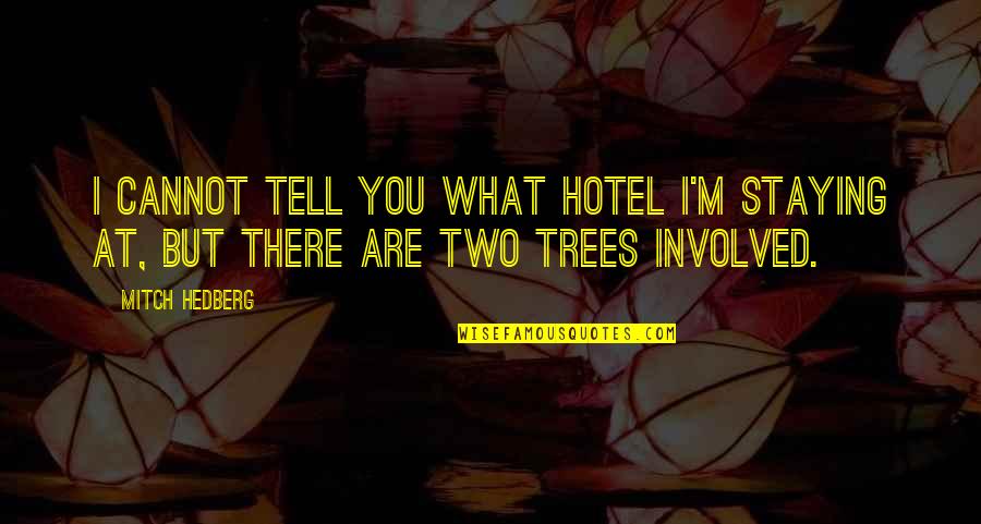 Massinos Pizza Quotes By Mitch Hedberg: I cannot tell you what hotel I'm staying