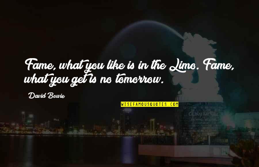 Massips Hhoos Quotes By David Bowie: Fame, what you like is in the Limo.