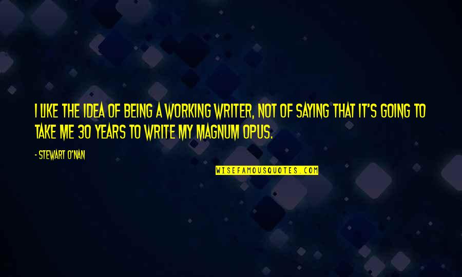 Massively Inspiring Quotes By Stewart O'Nan: I like the idea of being a working