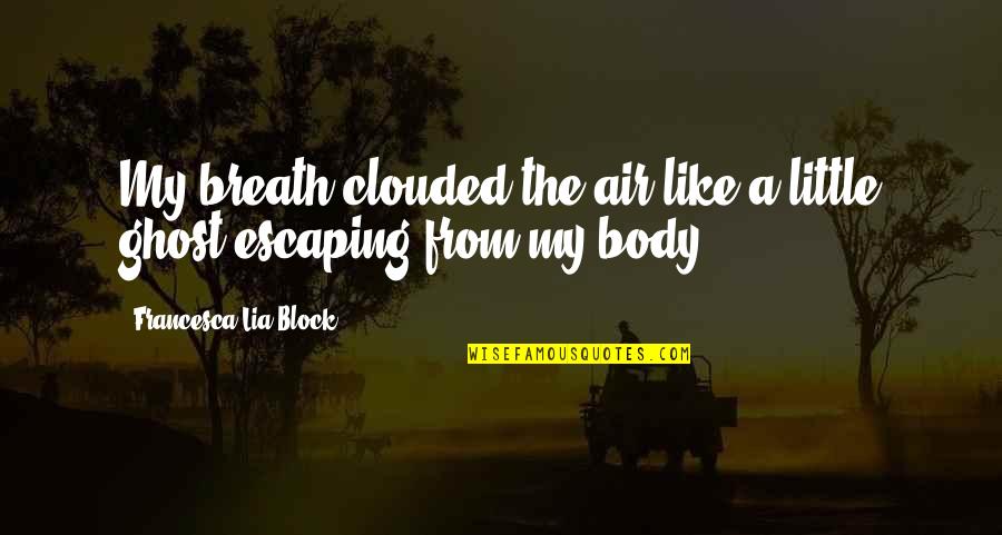 Massless Particles Quotes By Francesca Lia Block: My breath clouded the air like a little