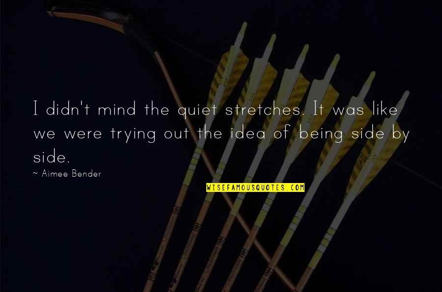 Mastana Mahi Quotes By Aimee Bender: I didn't mind the quiet stretches. It was Mastana Mahi Quotes By Aimee Bender: I didn't mind the quiet stretches. It was