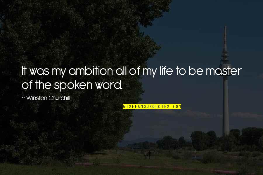 Master Of Life Quotes By Winston Churchill: It was my ambition all of my life