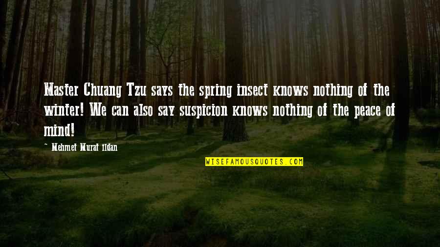 Master Peace Quotes By Mehmet Murat Ildan: Master Chuang Tzu says the spring insect knows