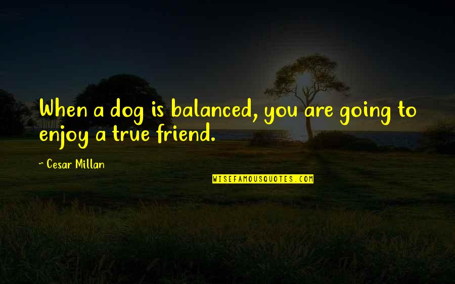 Master Raindrop Quotes By Cesar Millan: When a dog is balanced, you are going