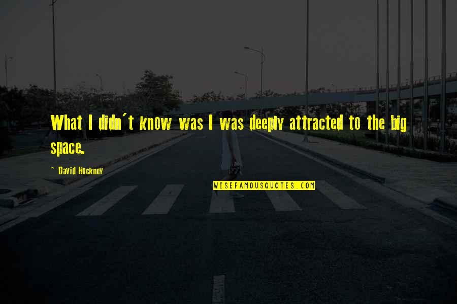 Master Stroke Quotes By David Hockney: What I didn't know was I was deeply
