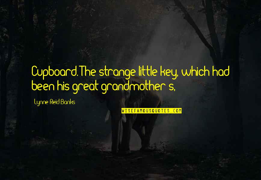 Master Stroke Quotes By Lynne Reid Banks: Cupboard. The strange little key, which had been