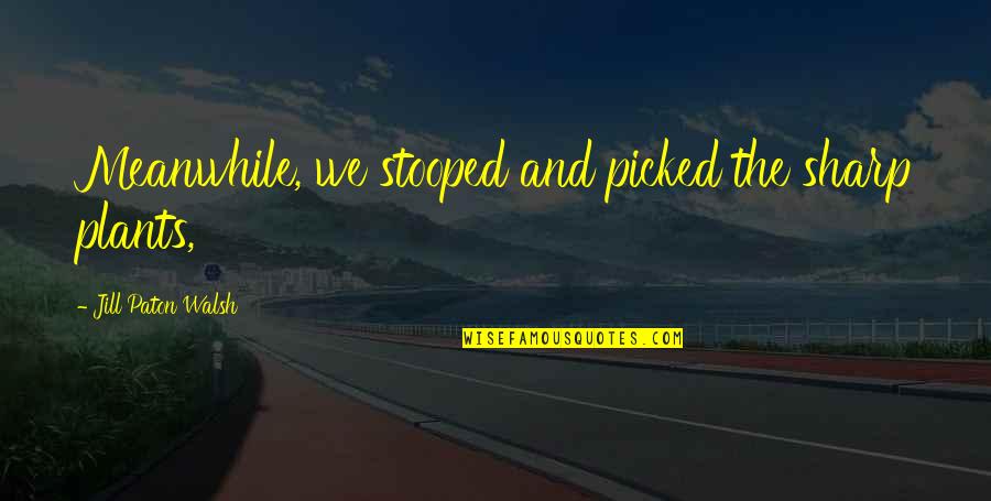 Masterful Surroundings Quotes By Jill Paton Walsh: Meanwhile, we stooped and picked the sharp plants, Masterful Surroundings Quotes By Jill Paton Walsh: Meanwhile, we stooped and picked the sharp plants,