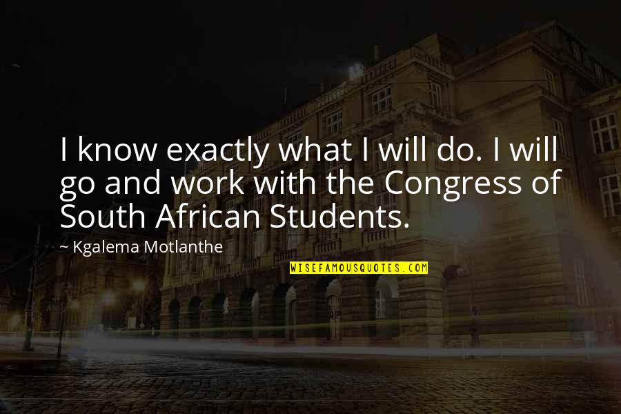Masterkey Launcher Quotes By Kgalema Motlanthe: I know exactly what I will do. I
