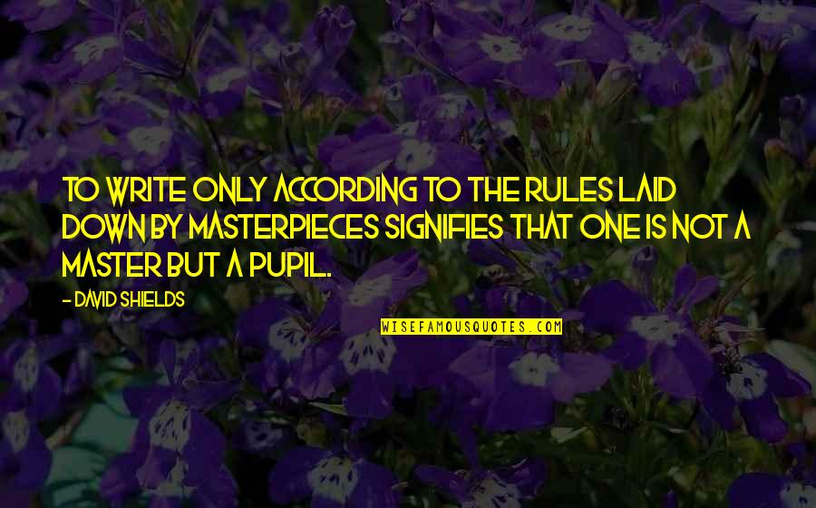 Masterpieces Quotes By David Shields: To write only according to the rules laid