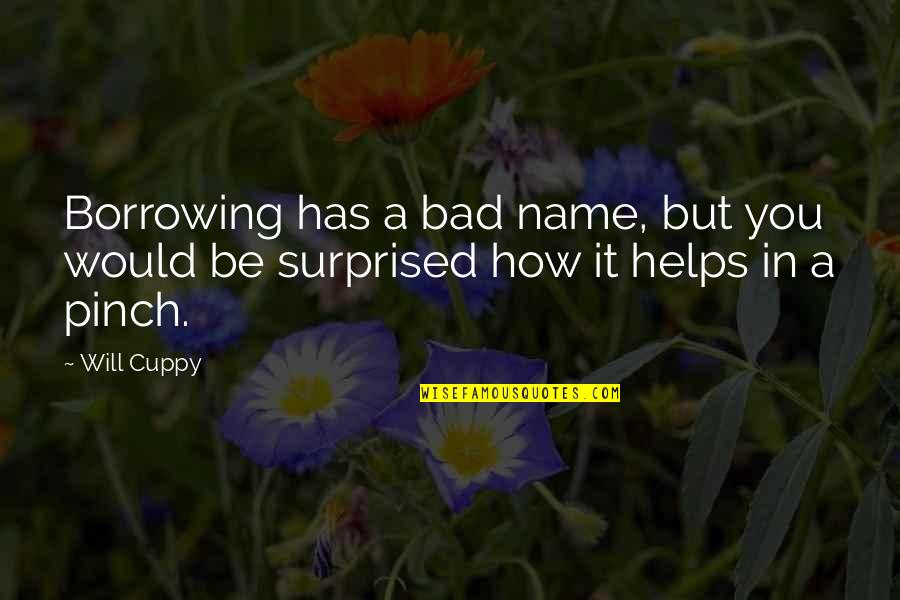 Masterwork Pathfinder Quotes By Will Cuppy: Borrowing has a bad name, but you would