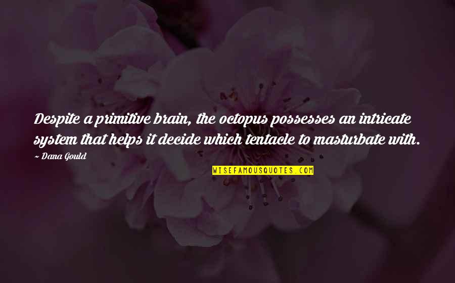 Masturbate Quotes By Dana Gould: Despite a primitive brain, the octopus possesses an