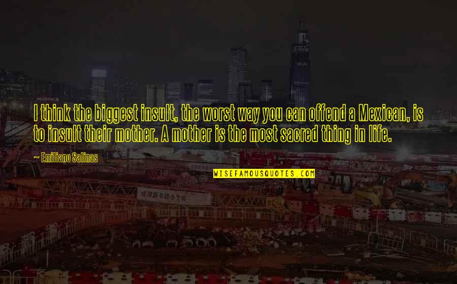 Masuichi Kyakuden Quotes By Emiliano Salinas: I think the biggest insult, the worst way Masuichi Kyakuden Quotes By Emiliano Salinas: I think the biggest insult, the worst way