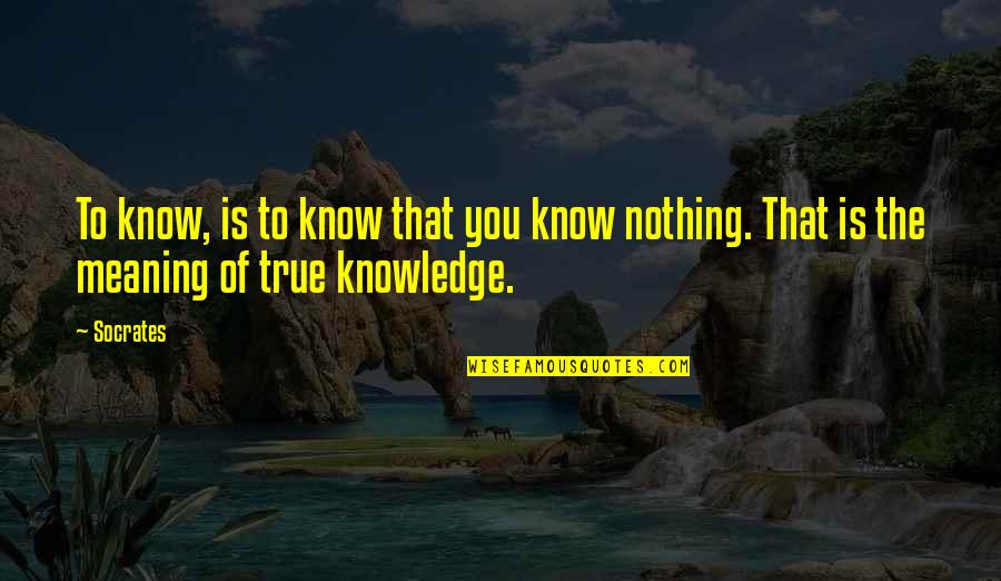 Matallana Quito Quotes By Socrates: To know, is to know that you know