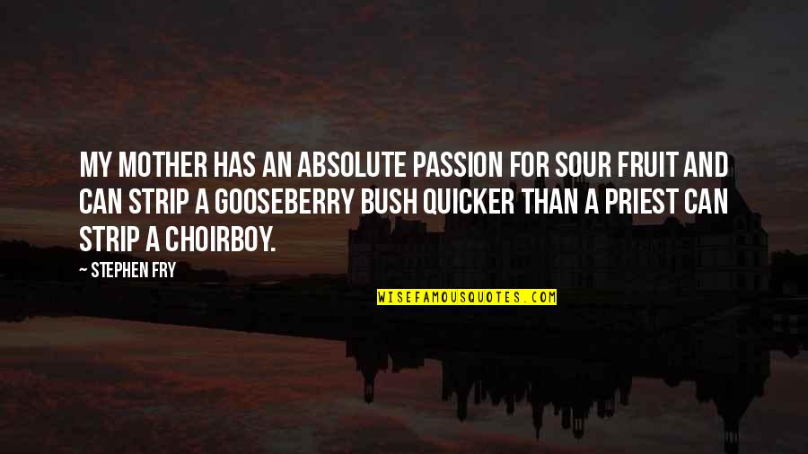 Matanya Ophee Quotes By Stephen Fry: My mother has an absolute passion for sour Matanya Ophee Quotes By Stephen Fry: My mother has an absolute passion for sour