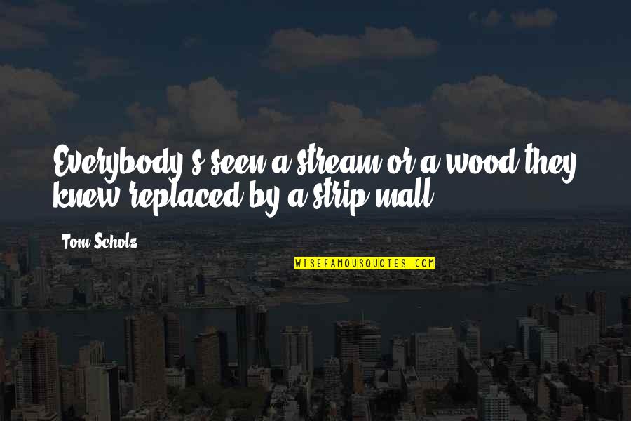 Matched Cassia Quotes By Tom Scholz: Everybody's seen a stream or a wood they