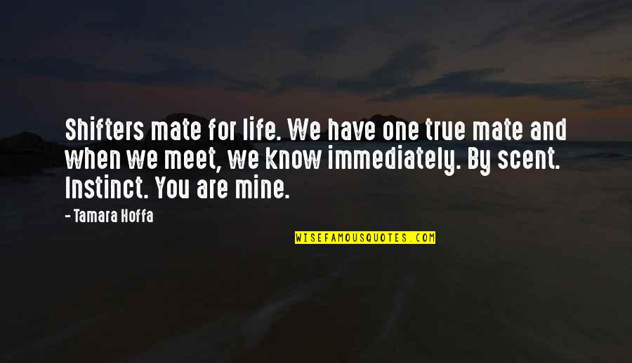 Mate Quotes By Tamara Hoffa: Shifters mate for life. We have one true